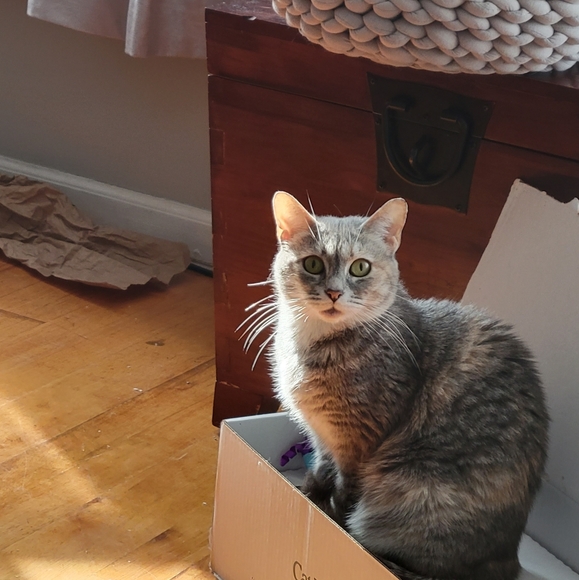 Meet your Posher, Kimberle - Picture 2 of 2